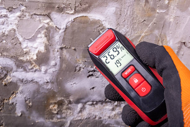 Best Emergency Mold Remediation in Cleveland, MS
