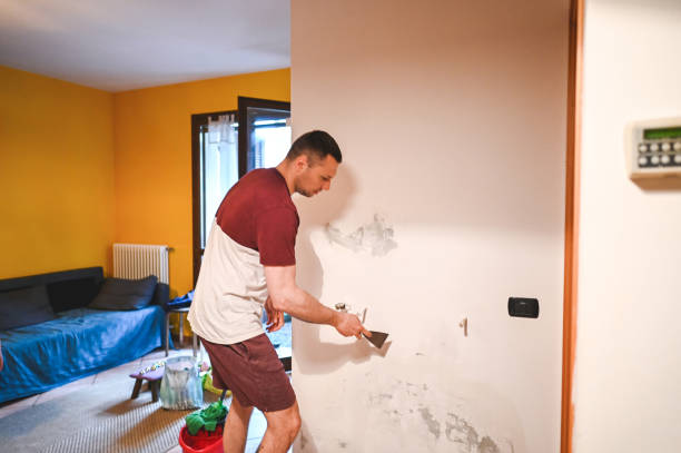 Professional Mold Remediation in Cleveland, MS